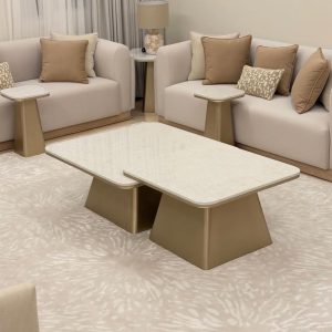 Marble coffee Table